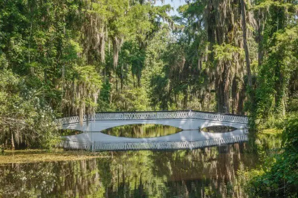 Beautiful places to visit sc